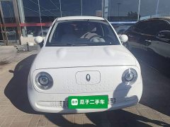 ORA Black Cat 301km Cute Pet Edition LFP Battery - photo 2