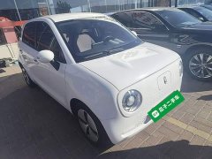 ORA Black Cat 301km Cute Pet Edition LFP Battery - photo 3