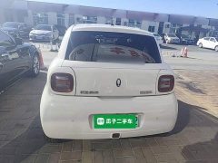 ORA Black Cat 301km Cute Pet Edition LFP Battery - photo 5