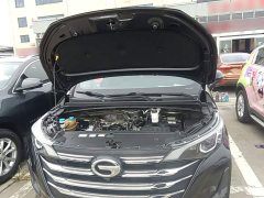 GAC Aion M6 270T DCT Luxury 7-Seater - ფოტო 19