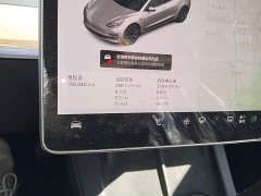 Tesla Model 3 Standard Range RWD Upgrade - ფოტო 11