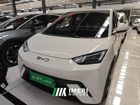 2025 BYD Seagull 305km Vitality Edition - ავტომობილი ჩინეთიდან