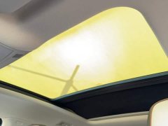 Volkswagen Magotan 2 Million Units Celebration Edition 330TSI DSG Luxury - ფოტო 16