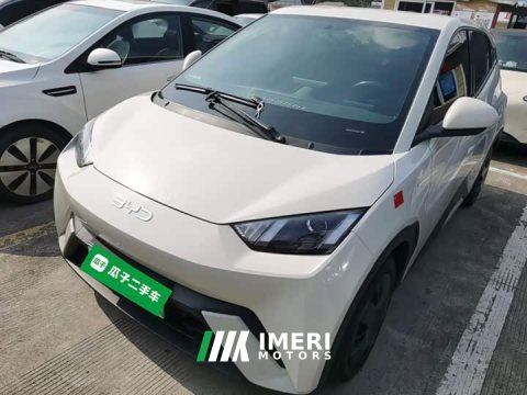 2024 BYD Seagull Glory Edition 305km Vitality Version - ავტომობილი ჩინეთიდან