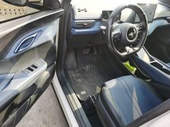 BYD Seagull Glory Edition 305km Vitality Version - ფოტო 15