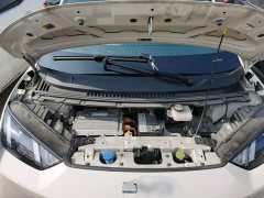 BYD Seagull Glory Edition 305km Vitality Version - ფოტო 19