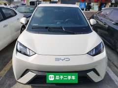 BYD Seagull Glory Edition 305km Vitality Version - ფოტო 2