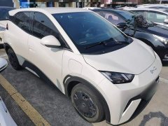 BYD Seagull Glory Edition 305km Vitality Version - ფოტო 3