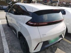BYD Seagull Glory Edition 305km Vitality Version - ფოტო 4