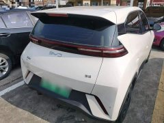 BYD Seagull Glory Edition 305km Vitality Version - ფოტო 6
