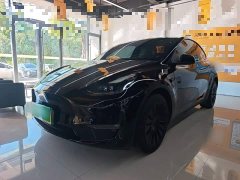 Tesla Model Y Long Range All-Wheel Drive - ფოტო 1