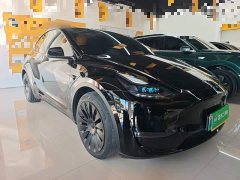 Tesla Model Y Long Range All-Wheel Drive - ფოტო 3