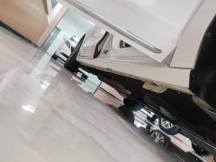 Buick GL8 ES Luxe Comfort - ფოტო 20