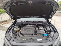 Volkswagen Passat 380TSI Starry Sky Dragon Ascendant Edition - фото 19