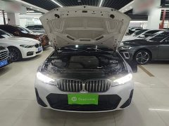 BMW 3 Series 320Li M Sport Package - ფოტო 19