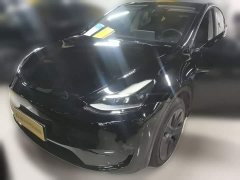 Tesla Model Y Rear-Wheel Drive - ფოტო 1