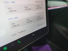 Tesla Model Y Rear-Wheel Drive - ფოტო 16