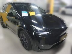 Tesla Model Y Rear-Wheel Drive - ფოტო 5