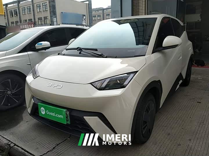 BYD Seagull 305km Vitality Edition - ავტომობილი ჩინეთიდან