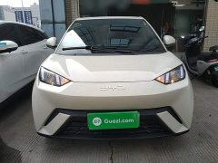 BYD Seagull 305km Vitality Edition - ფოტო 2