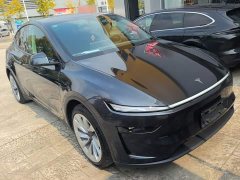 Tesla Model Y Rear-Wheel Drive - ფოტო 3