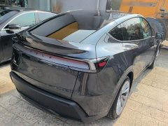 Tesla Model Y Rear-Wheel Drive - ფოტო 6