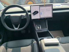 Tesla Model Y Rear-Wheel Drive - ფოტო 9