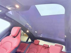 Xiaomi SU7 Quad Motor Ultra-Long Range Advanced Autonomous Driving Max - ფოტო 16