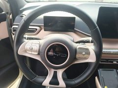 BYD Seagull Freedom Edition - ფოტო 10