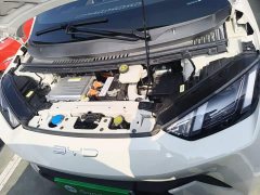 BYD Seagull Freedom Edition - ფოტო 19