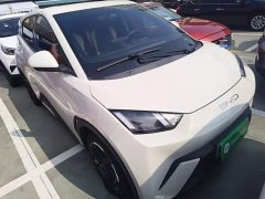 BYD Seagull Freedom Edition - ფოტო 3