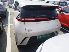 BYD Seagull Freedom Edition - ფოტო 5