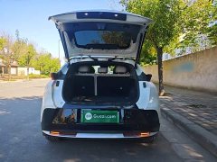 Lynk & Co 20 530km Rear-wheel Drive Max - ფოტო 18