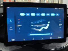 BYD Qin PLUS Glory Edition DM-i 55KM Leading - ფოტო 12