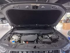 Haval Big Dog PLUS 2.0T Two-Wheel Drive Trendy Wilderness Edition Plus - photo 19