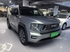 Haval Big Dog PLUS 2.0T Two-Wheel Drive Trendy Wilderness Edition Plus - photo 3