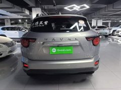 Haval Big Dog PLUS 2.0T Two-Wheel Drive Trendy Wilderness Edition Plus - photo 5