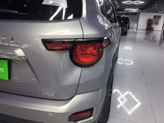 Haval Big Dog PLUS 2.0T Two-Wheel Drive Trendy Wilderness Edition Plus - photo 7