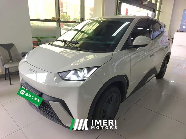 BYD Seagull 305km Vitality Edition