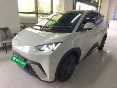 BYD Seagull 305km Vitality Edition - ფოტო 1