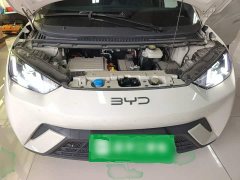 BYD Seagull 305km Vitality Edition - ფოტო 19