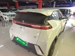 BYD Seagull 305km Vitality Edition - ფოტო 6