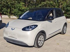 Wuling Binguo 333km Quick Enjoy Edition - ფოტო 1