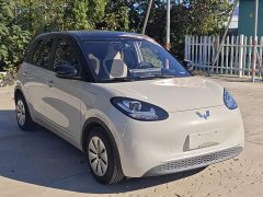 Wuling Binguo 333km Quick Enjoy Edition - ფოტო 3