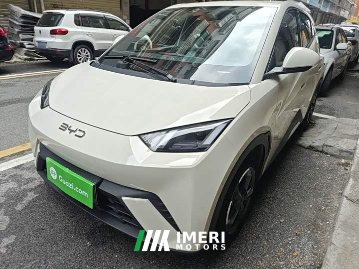 BYD Seagull Glory Edition 305km Freedom Version - ავტომობილი ჩინეთიდან