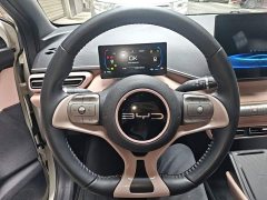BYD Seagull Glory Edition 305km Freedom Version - ფოტო 10
