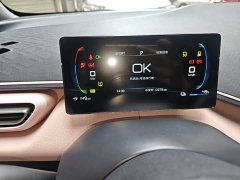 BYD Seagull Glory Edition 305km Freedom Version - ფოტო 11