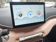 BYD Seagull Glory Edition 305km Freedom Version - ფოტო 12