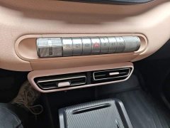 BYD Seagull Glory Edition 305km Freedom Version - ფოტო 13