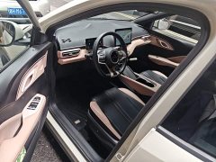 BYD Seagull Glory Edition 305km Freedom Version - ფოტო 14